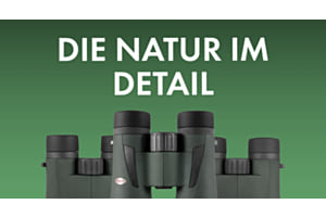 Kowa BD III und SV III