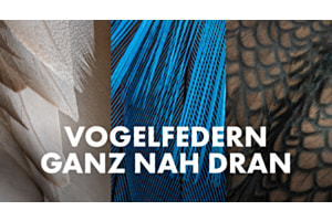 Marcel Burkhardt über die Fotografie rund um das Projekt "Filigran"