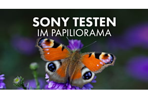 Sony Papiliorama Test Day & Workshop – 22.08.