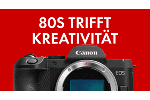 Die neue Canon EOS R8 Mark II