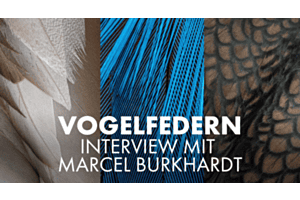 Marcel Burkhardt über die Fotografie rund um das Projekt "Filigran"