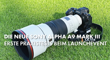 Sony Alpha A9 III & FE 300mm F2.8 GM OSS hands on