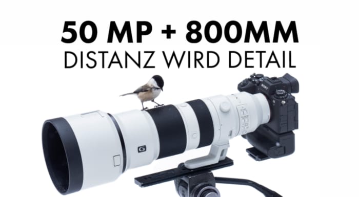 Sony A1 II & FE 400-800mm getestet von Levi Fitze