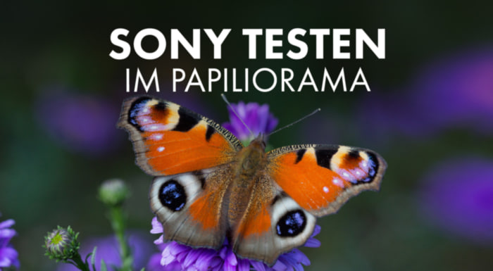 Sony Papiliorama Test Day & Workshop – 22.08.