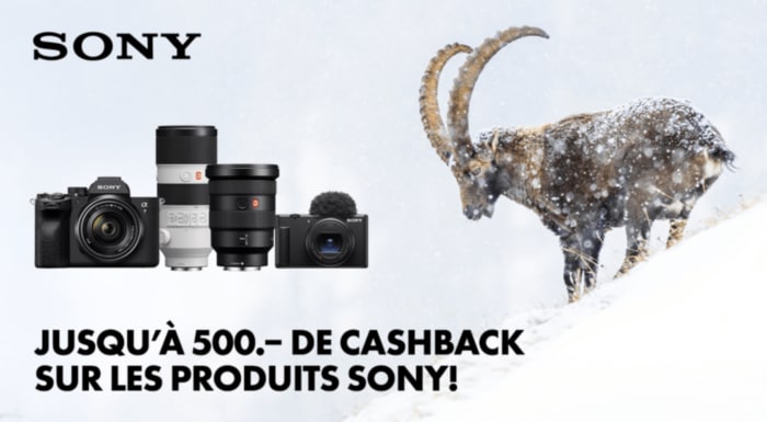 Sony Winter Cashback 2024