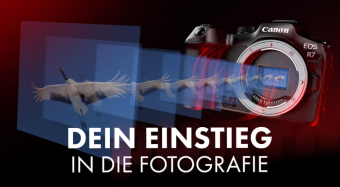 Canon APS-C Guide - Entdecke die Power des Canon APS-C Sortiments