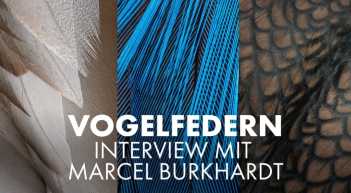 Marcel Burkhardt &uuml;ber die Fotografie rund um das Projekt "Filigran"