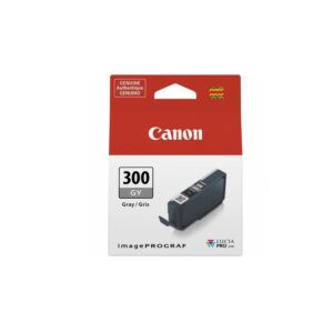 CanonPFI300GY.jpg
