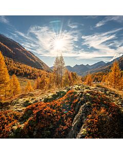 Magisches Lötschental  im goldenen Herbstgewand - Majestätische Lärchenwälder und idylische Bergseen
