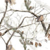 lco100400sn-000.jpg