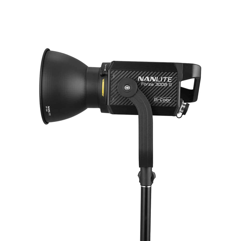 _0000_Nanlite-31-2010-002.jpg