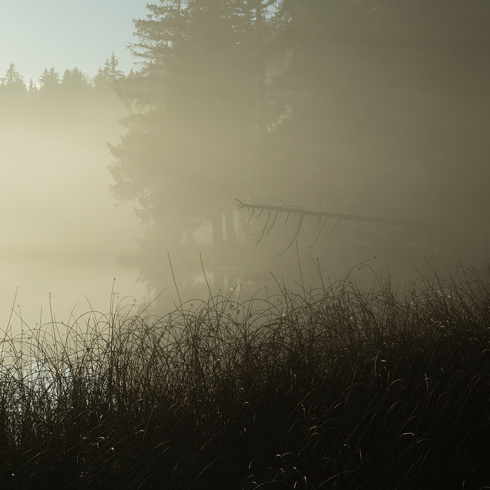 etang_3_10.jpg