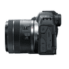 Canon_EOS_R8_Kit_24-50_04.jpg