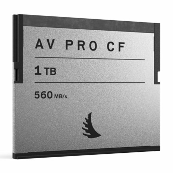 02AVP1TBCF.jpg