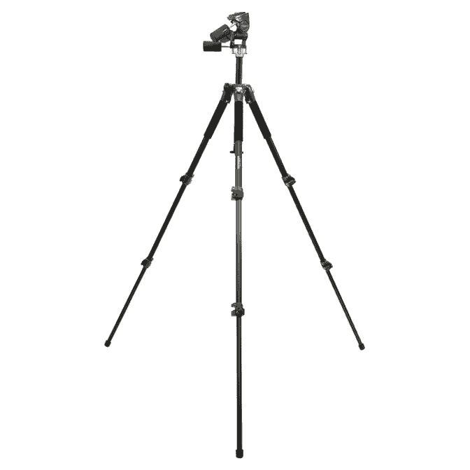 44199-001.jpg