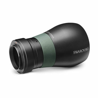 43mm_1000x1000.jpg