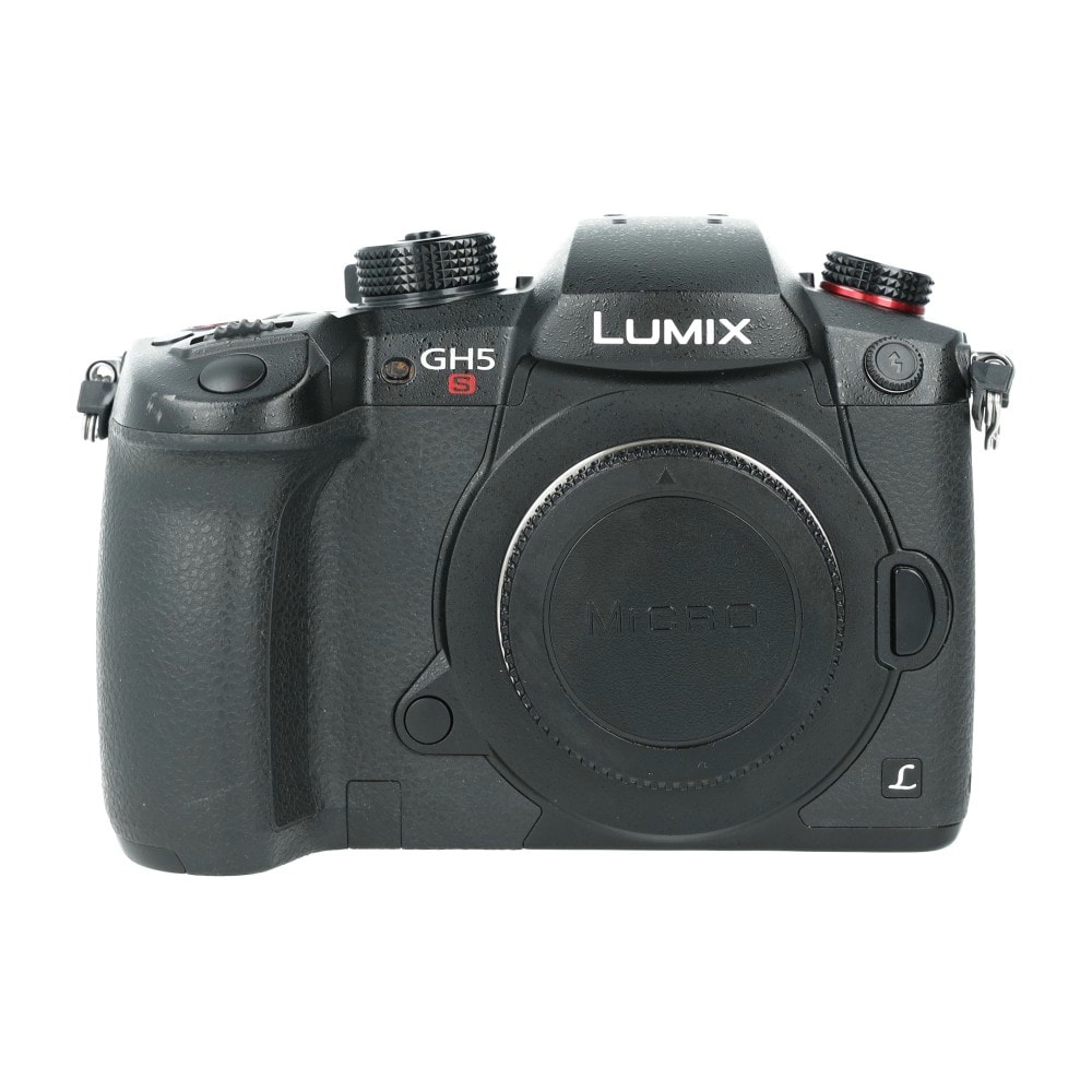 Lumix gh5s_1.jpg