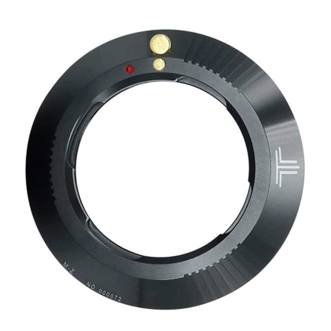 497904.jpg