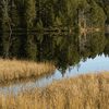 etang_6_9.jpg