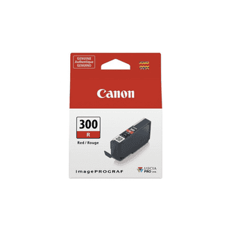 CanonPFI300R.jpg