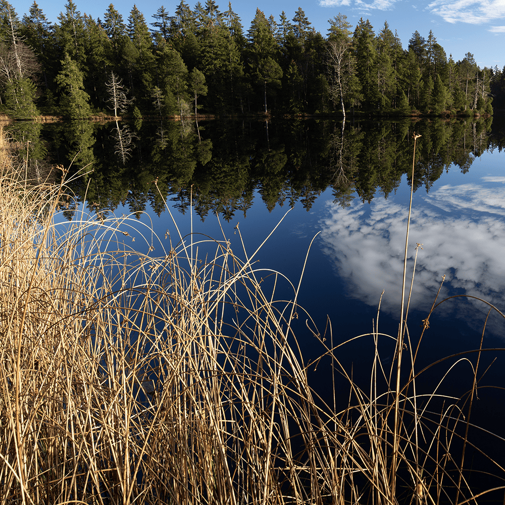 etang_4_1.jpg