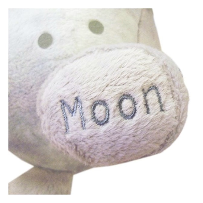 Celestial-Buddies-Mond-2.jpg