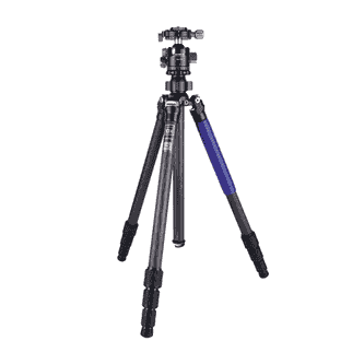424005.jpg