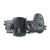 Panasinc Lumix GH5_4.jpg