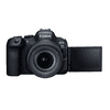 Canon_EOS_R6II_rf24-105STM_02.jpg