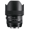 Sigma1424.jpg