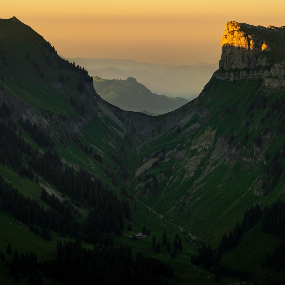 Niederhorn-14_1.jpg