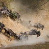Fotoreise in die Serengeti | Die Big 5 in atemberaubender Natur