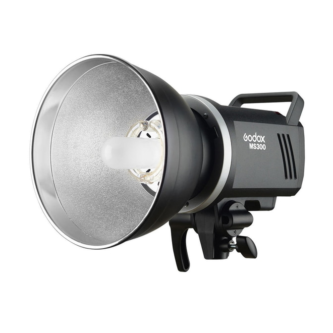 Godox MS300-D Kit_1.jpg