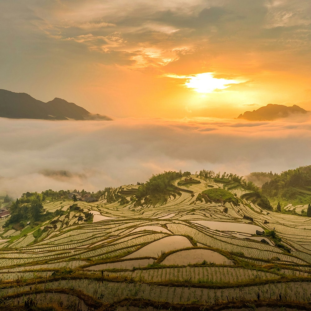 Fotoreise Yunnan & Shangri-La | Zwischen Reisterrassen, Altstädten und Himalaya