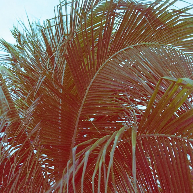 REV600nm-36-200-35-001.jpg