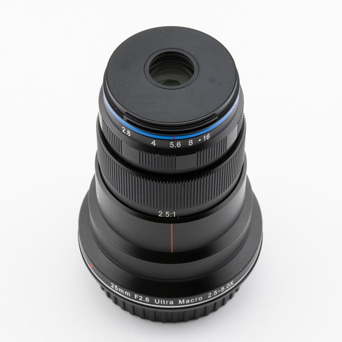 26Occ176406-2.jpg