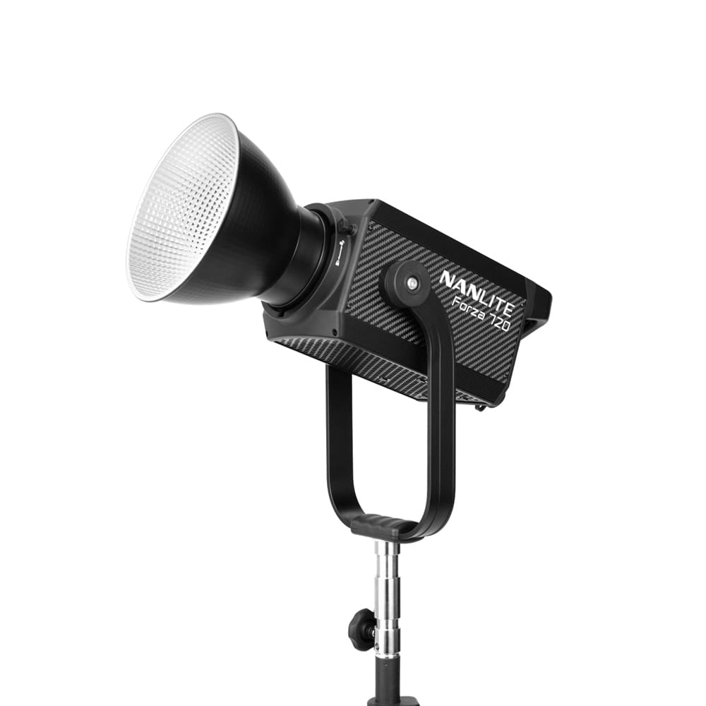 _0000_Nanlite-31-2007-001.jpg