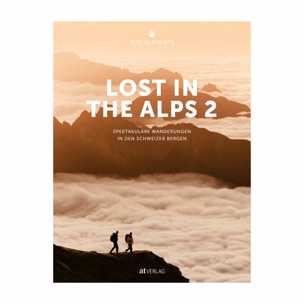 The-Alpinists-Lost-in-the-Alps-2.jpg