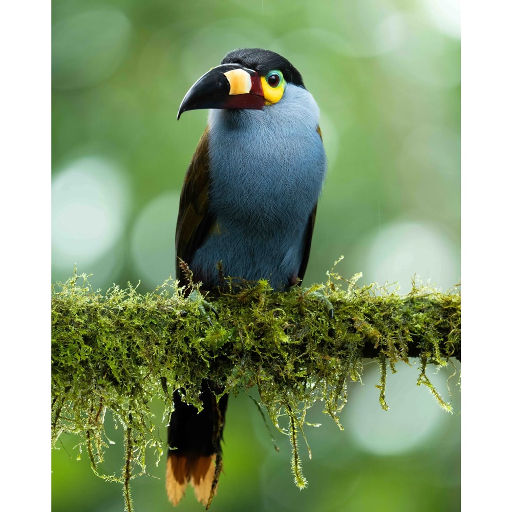 Vortrag_Sasan_Amir_08.jpg