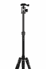 1000500-4.jpg
