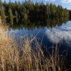 etang_4_1.jpg