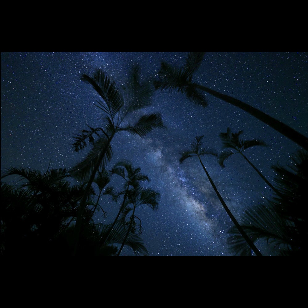 Canon_RF16mm2-8_04.jpg