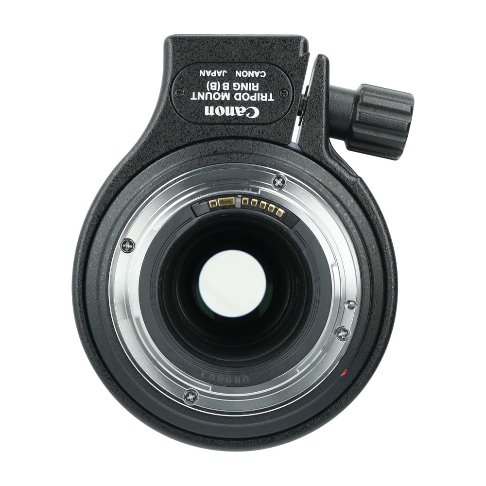 MP-E 65mm_3.jpg
