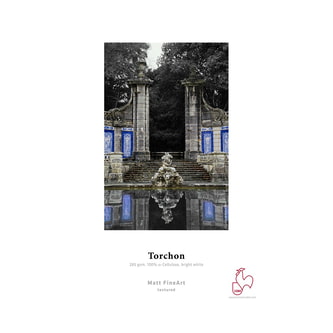 50841_3.jpeg