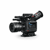 Blackmagic-Pyxies-02.jpg