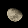 Canon_RF_800mm_10.jpg