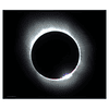 14738-0010.jpg