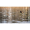 Photowalk_Sony_Lukas_Moesch_03.jpg