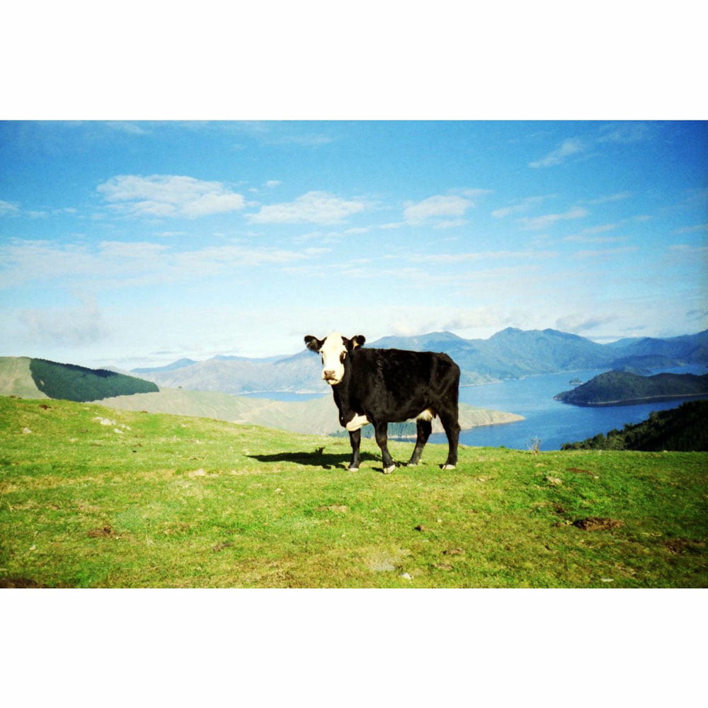Lomo-F3361-02.jpg