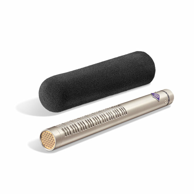 Neumann_kmr_81i.jpg